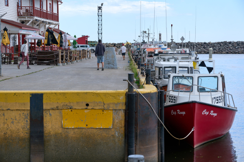 Eau,Marina,Été,Saison,MRC Rocher-Percé,Région,Anse-à-Beaufils,Jour,Temps